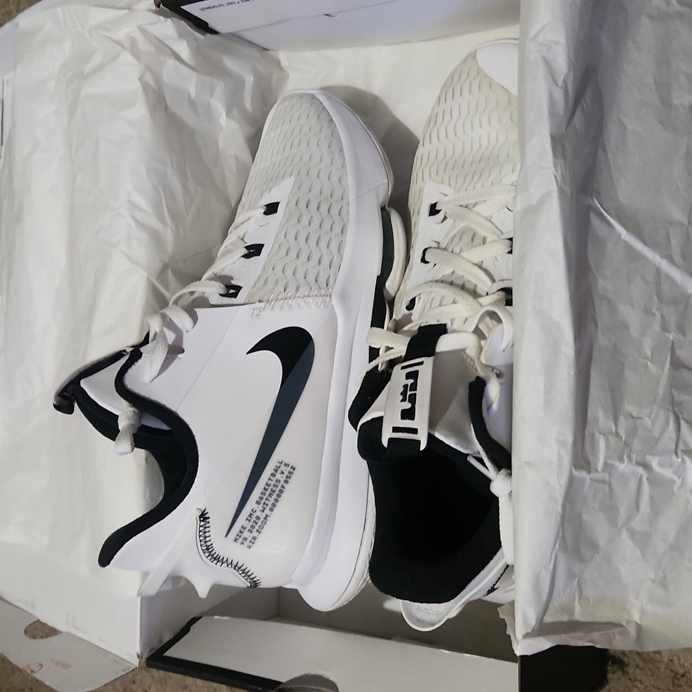 LeBron James nike shoes!